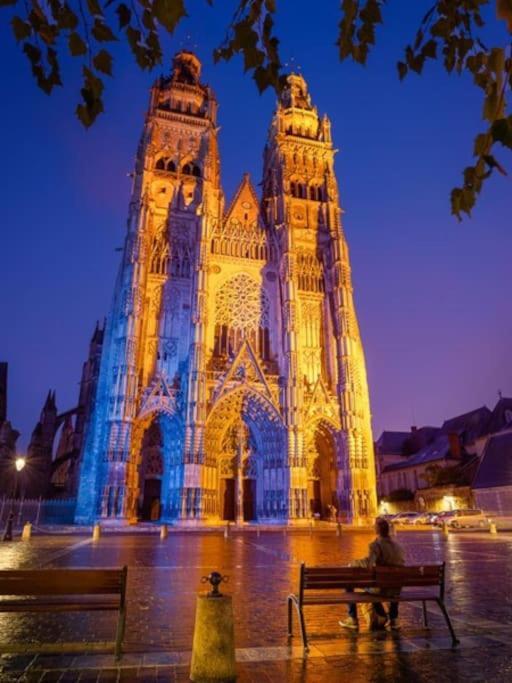 Tres Beau Studio Quartier Cathedrale Bord De Loire トゥール エクステリア 写真